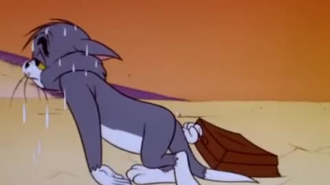 Tom and jerry