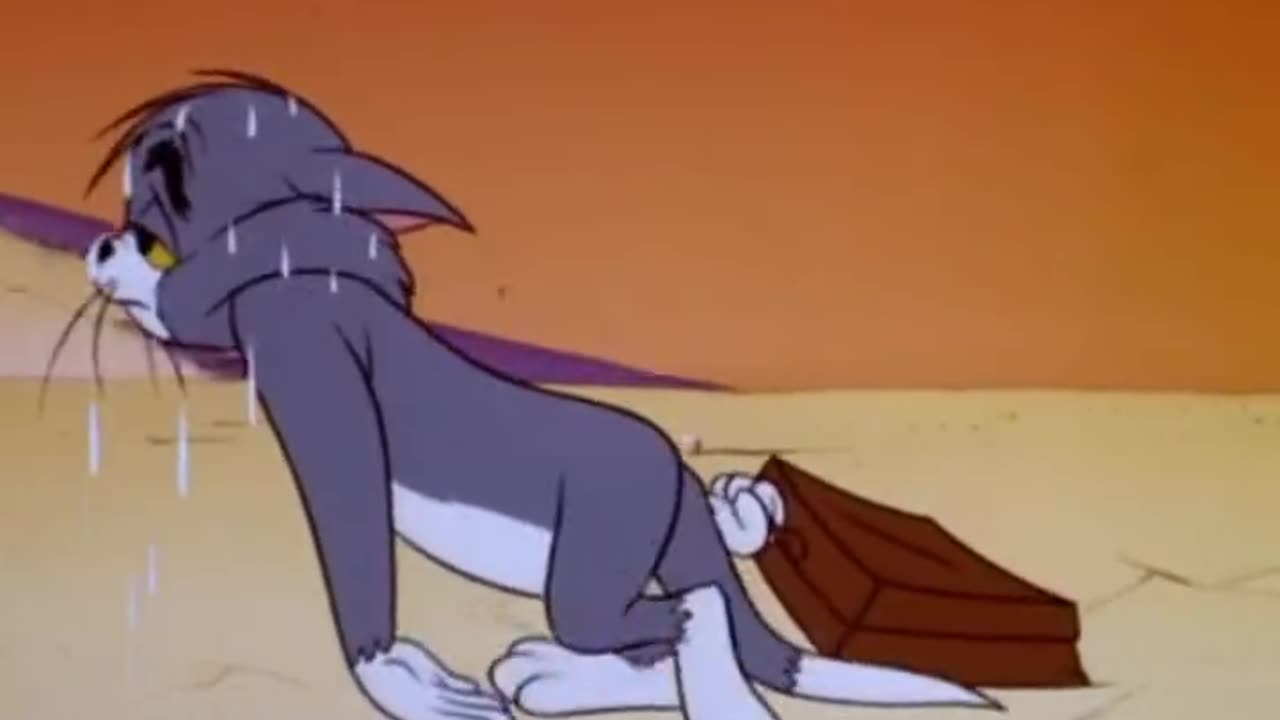 Tom and jerry