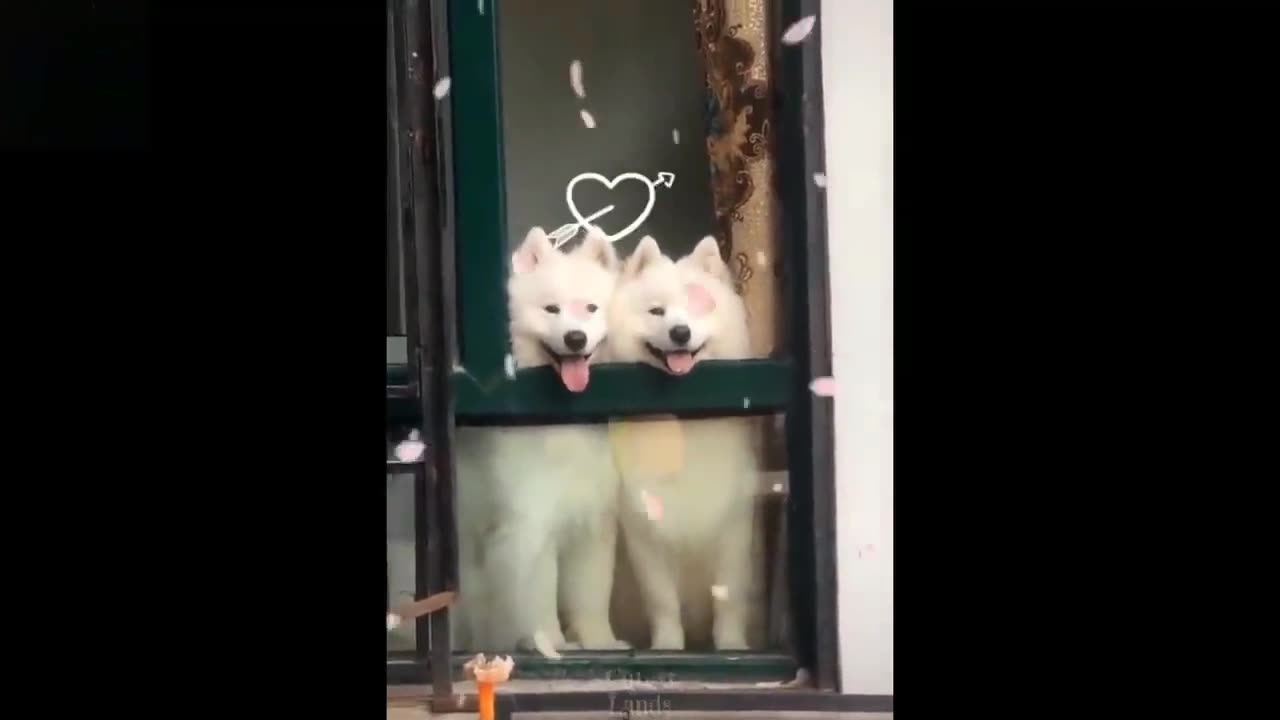 Cute couple