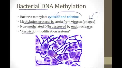 Boards & Beyond Molecular 2018 Biochemestry