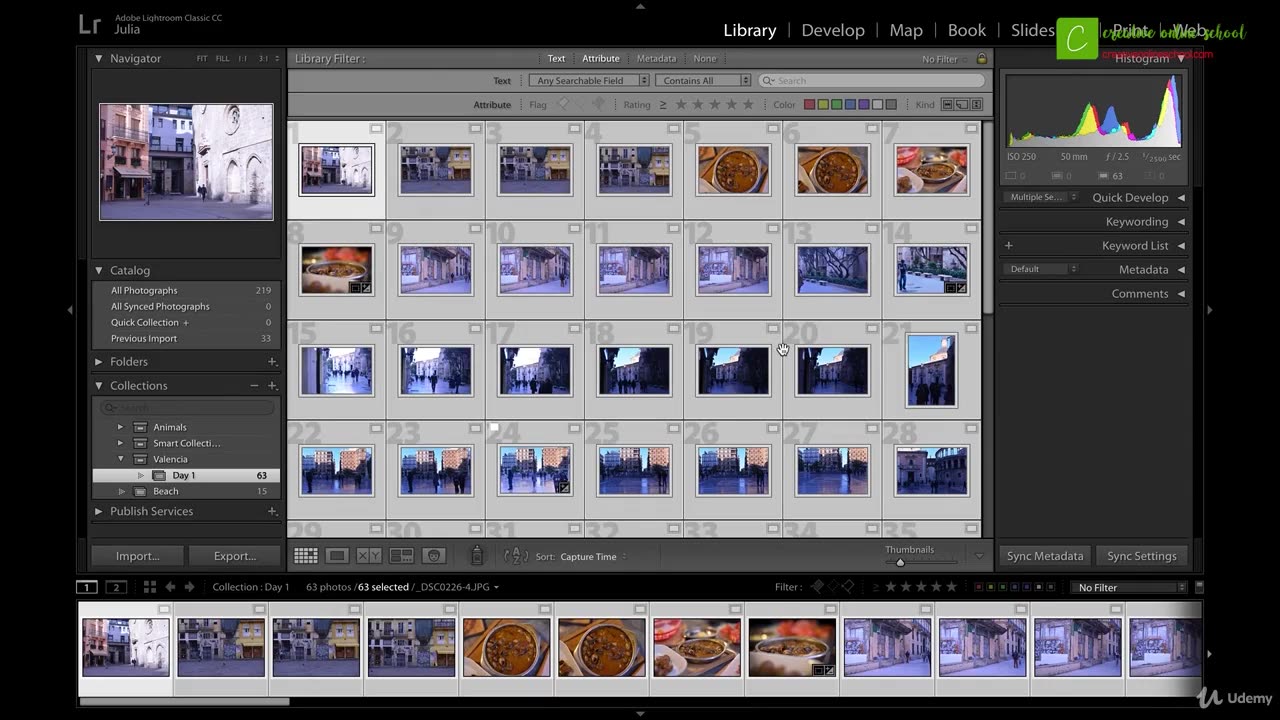 Adobe Lightroom Working with Collections Chapter 3