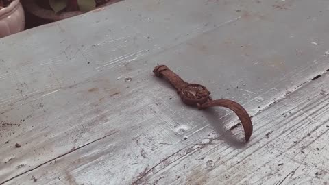 The amount of rust, but no metal pitting is staggering.