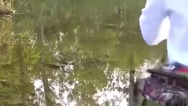 WiththatsetupIwasexpectingamonster#fishing