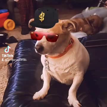 All eyes on this playa