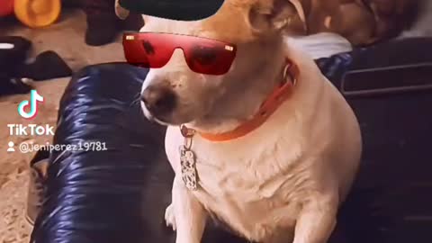 All eyes on this playa