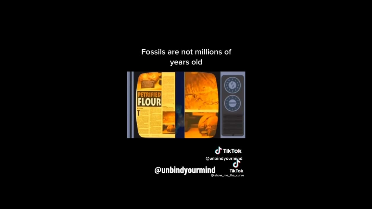 Fossils are NOT millions of years old