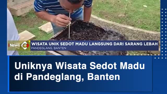 Uniknya Wisata Sedot Madudi Pandeglang, Banten