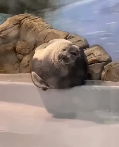 Me when taking a nap and hear something 🤣