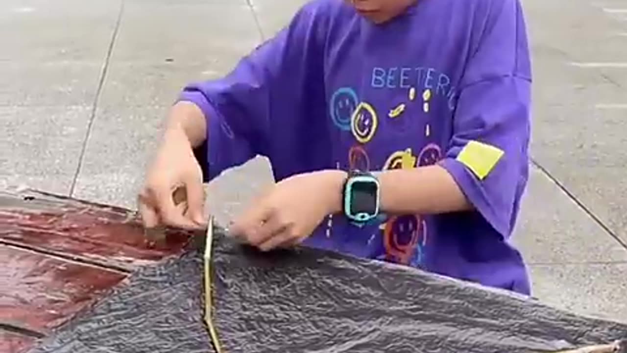 Kites flying short video