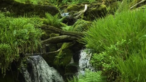 Beauty of Nature