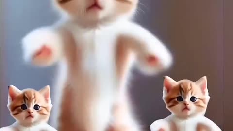 Cat videos funny dance 😻💃#cat #lovelyecats #catvideos #cute #shorts #ytshortsvideo