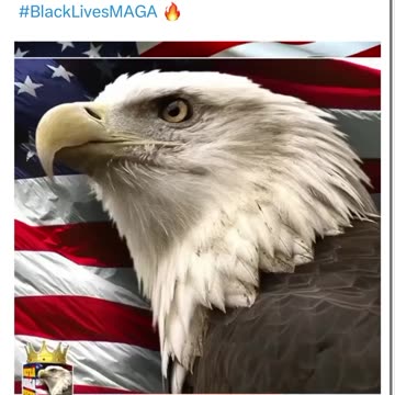 #BlackLivesMAGA