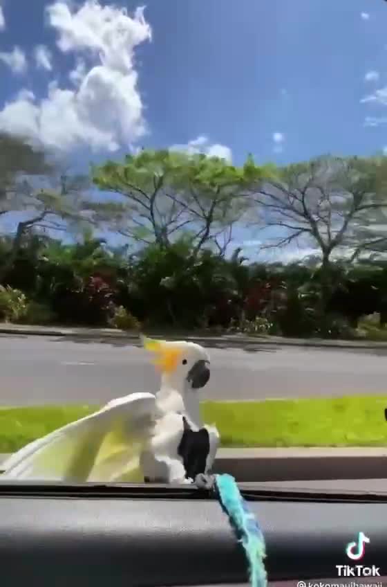 Shortly, this is how the whole world will want to feel. It's coming...hang on!