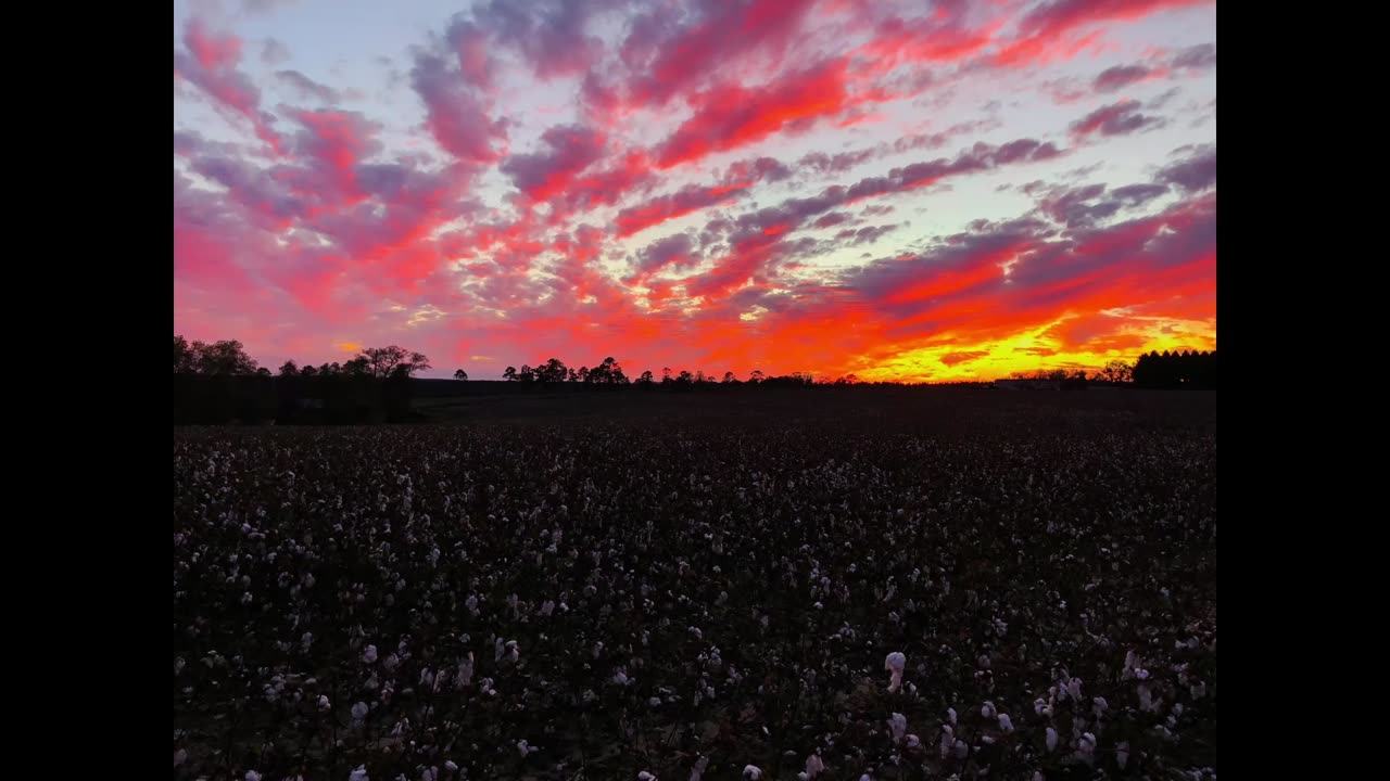 Southern Sky Serenade