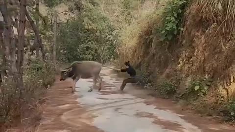 Wait for them to FALL out! 🤪