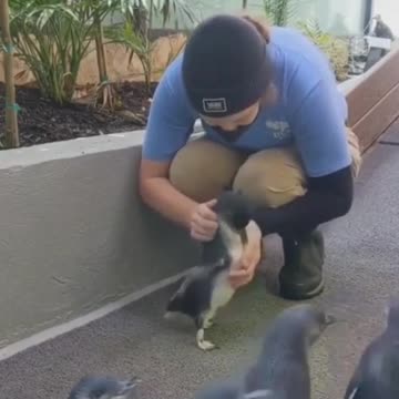 Oh! My Too Adorable!