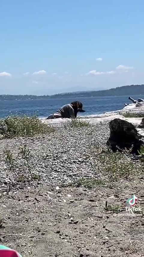 TOTALLY NORMAL: Grown man dressed as dog frolics on the beach in front of families with children
