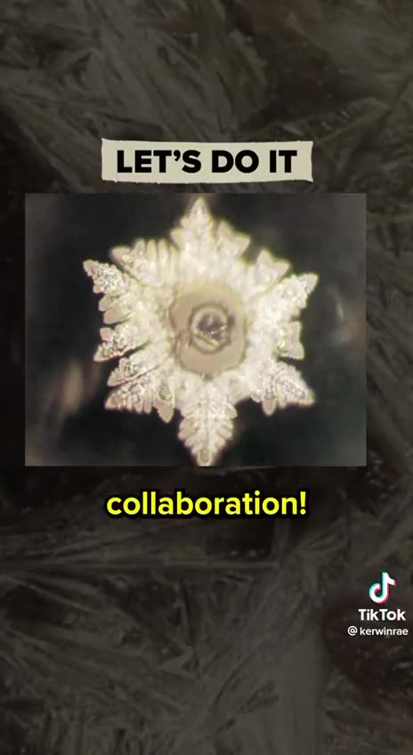 water, rice... and people