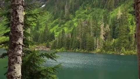 Beauty of Nature
