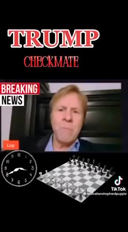 TRUMP 5D CHESS 👉CHECKMATE 👈