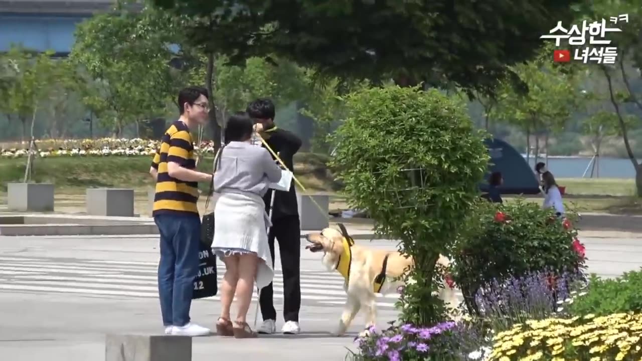 Best Korean Pranks That Got Me Rolling 😂
