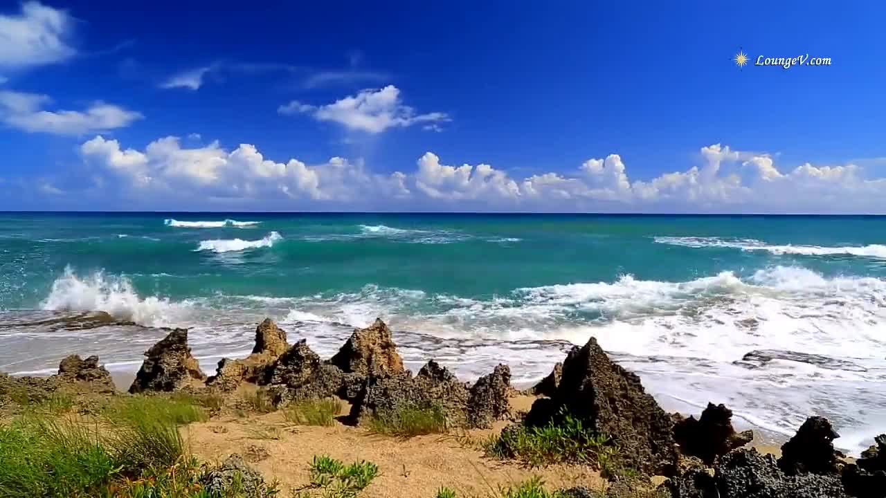 Tropical Ocean HD 1080p Video with Beach Sounds