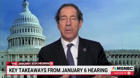 Rasken to MSNBC: Domestic Extremist Movement empowered by Trump
