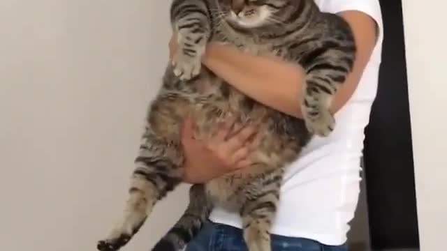 I can barely hold him