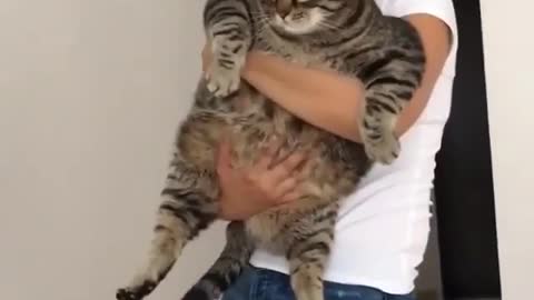 I can barely hold him