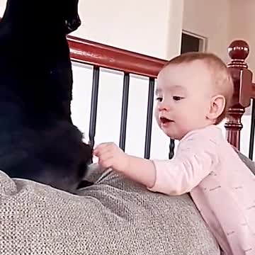 Cat and cute baby boy, cat slap baby boy