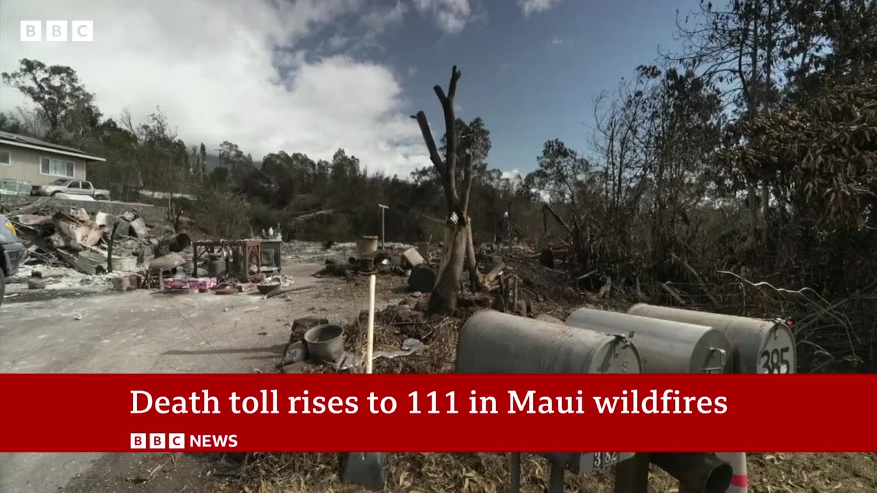 Hawaii wildfire: Maui emergency chief quits after sirens criticism - News Feed