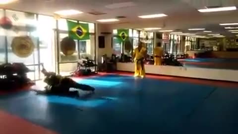 Hapkido