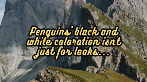 Animal Facts Penguin's "Tuxedo" #shorts