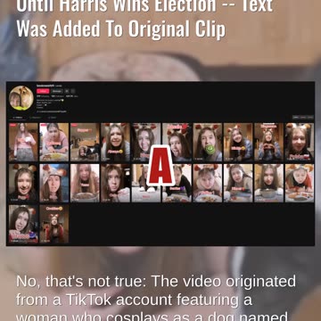 Fact Check: Video Does NOT Show Woman Pledging To Eat Dog Food Until Harris Wins Election - Edited