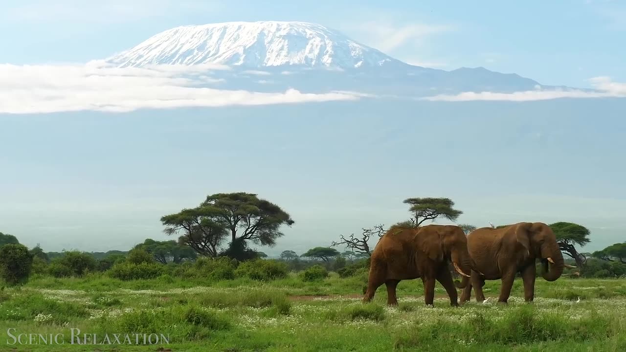 Nairobi National park, the best place