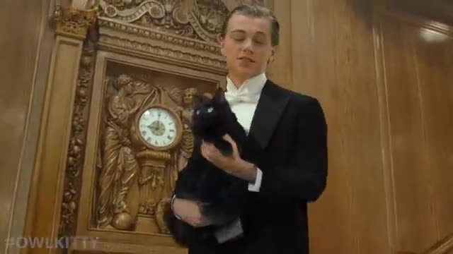 Titanic with a Cat