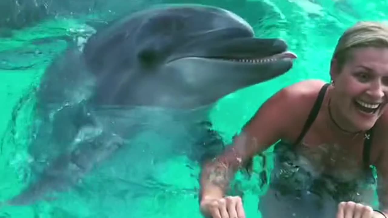 Dolphin 🐬 kissing a young woman in the sea