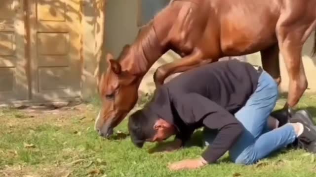 A Arte do Treinamento...