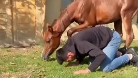 A Arte do Treinamento...