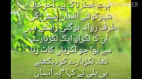 Funny Story |Urdu Stories World | مزاحیہ کہانی |شیر اور خالہ| ‎@Urdu Stories World
