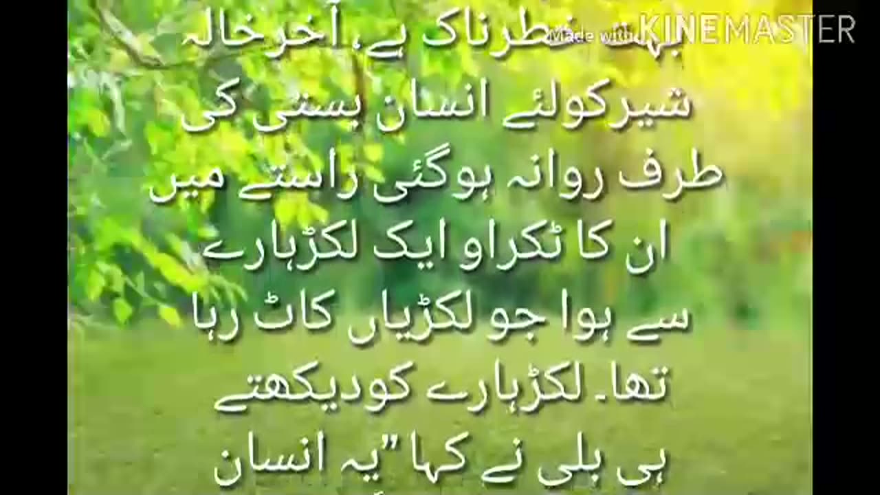 Funny Story |Urdu Stories World | مزاحیہ کہانی |شیر اور خالہ| ‎@Urdu Stories World