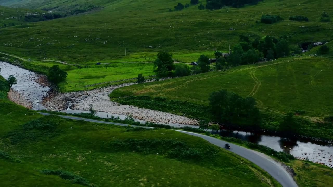 Nature’s Symphony: Sounds and Sights of the Wild