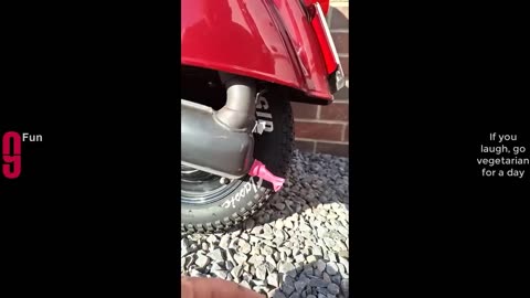TRY NOT TO LAUGH 😆 Best Funny Videos Compilation 😂😁😆