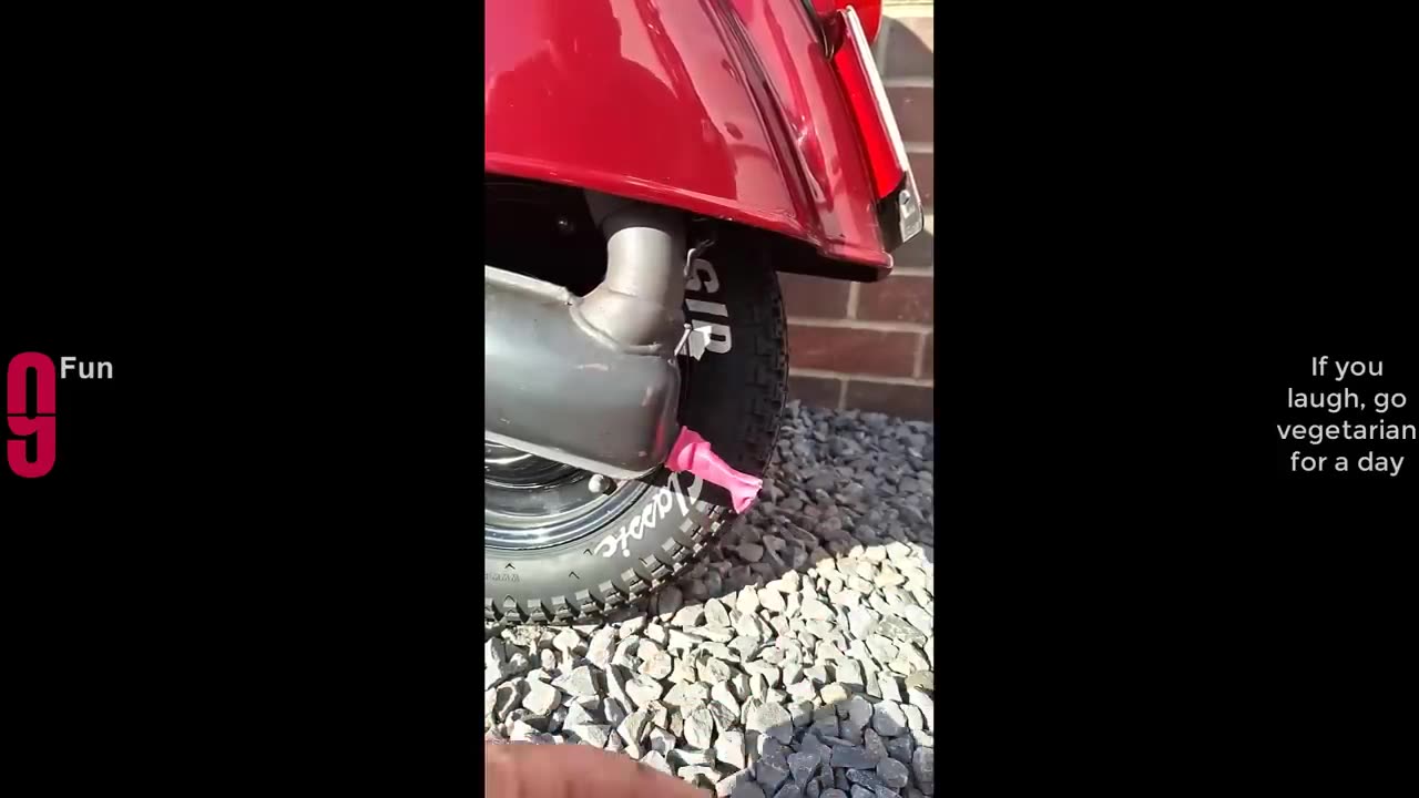 TRY NOT TO LAUGH 😆 Best Funny Videos Compilation 😂😁😆