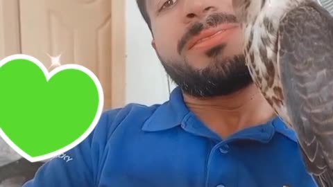 Fun enjoy