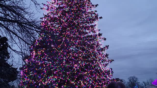 Enjoying The Christmas Lights At The Toledo Zoo - 4
