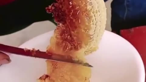 Satisfying video from internet (5)