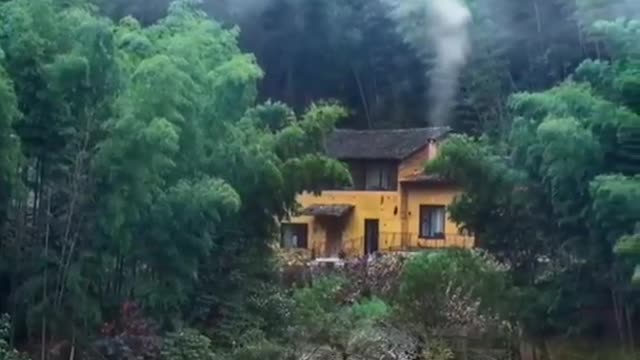 Beautiful House In Forest Status। Beauty Scenery । Nature Status। World of Natural Status Video