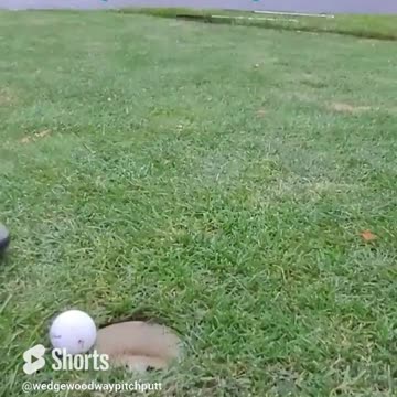 Wait for it to Drop: Crazy put on 17 at Backyard Golf Course