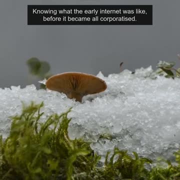 What will die with millennials?